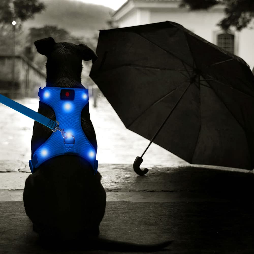 Arnés Flashseen LED perfecto para paseos nocturnos con brillo visible.