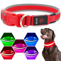 Collar Flashseen LED cargando por USB, evita baterías.