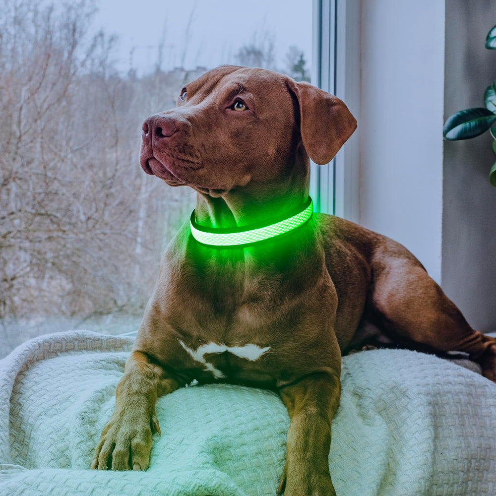 Ideal para paseos nocturnos, mejora la visibilidad y la seguridad