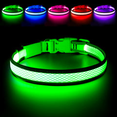 Flashseen collar LED para perro con luz nocturna para mayor visibilidad