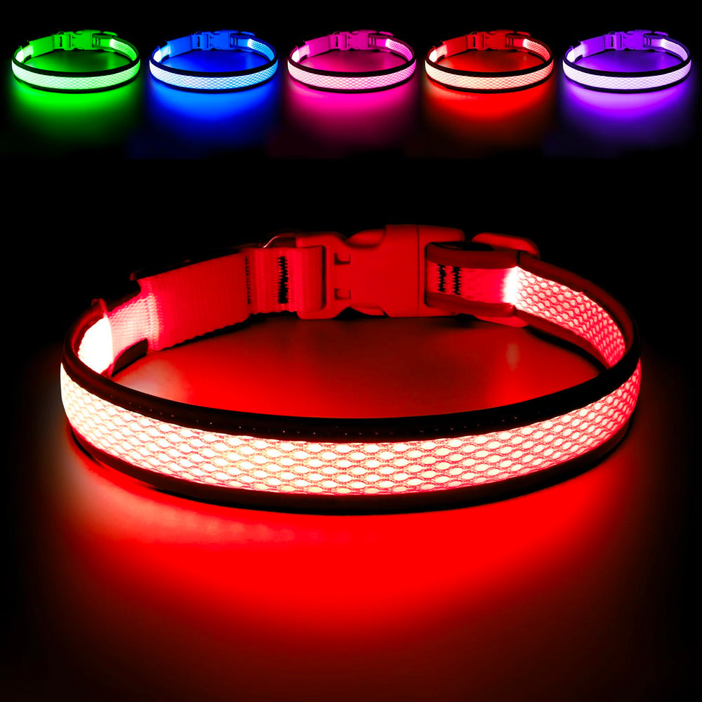 Collar LED Flashseen para perro en la noche, alta visibilidad.