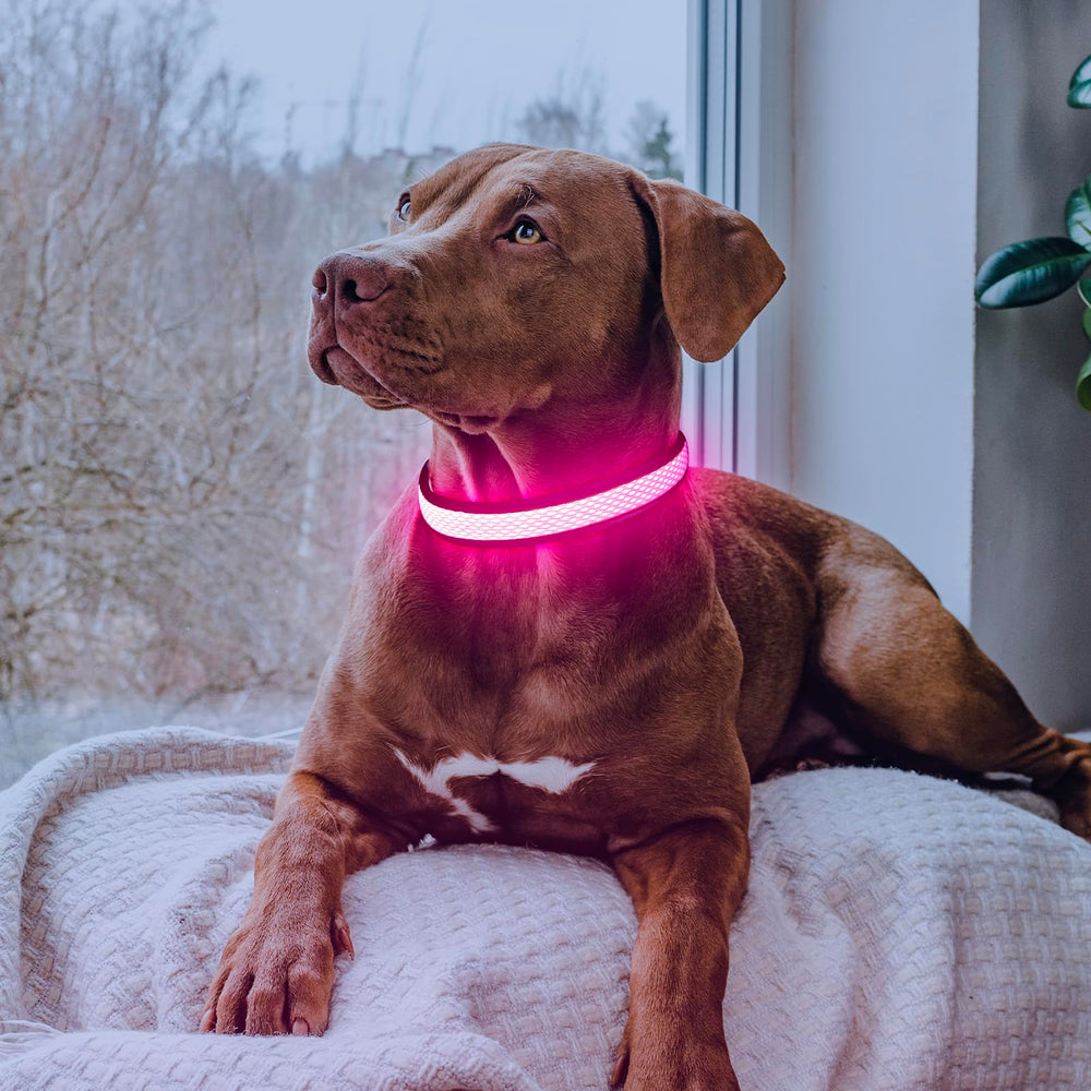 Collar LED Flashseen de malla suave y ajuste cómodo para perros.