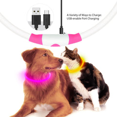 Collar Flashseen para perros, carga mediante USB para uso nocturno