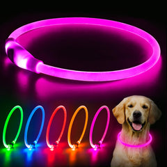 Collar Flashseen para perros, iluminación de 360 grados para mayor visibilidad nocturna