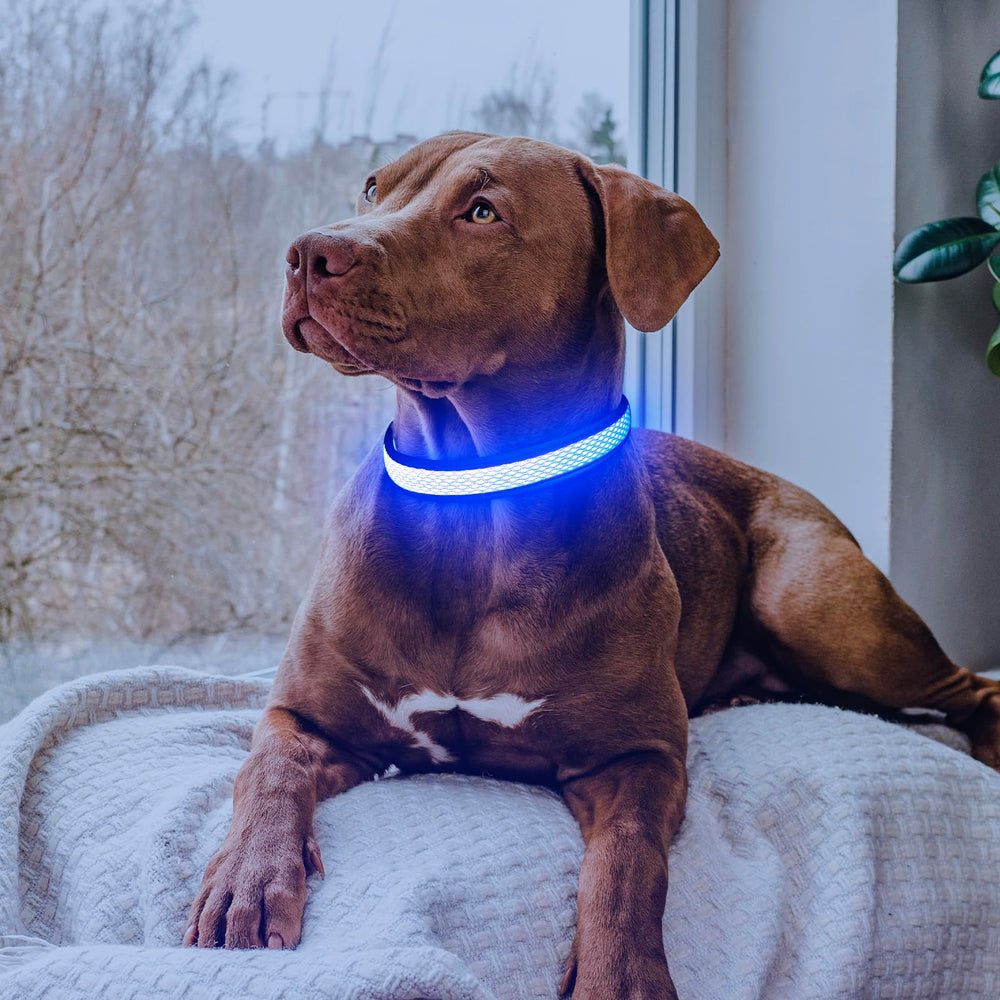 Flashseen collar LED USB recargable para paseos nocturnos