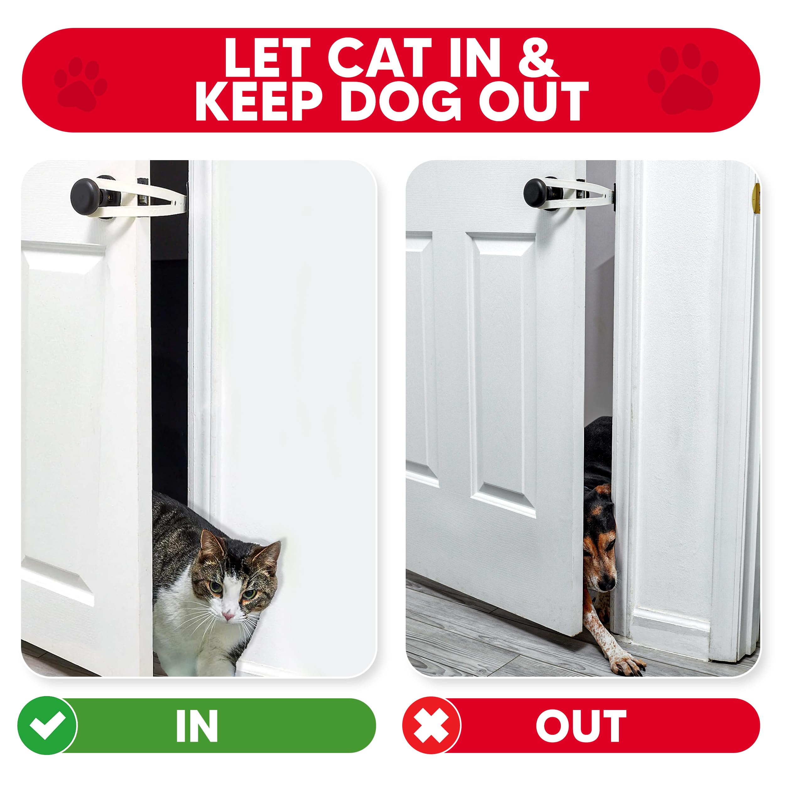 FlexLatch facilita el acceso para gatos y protege zonas de comida y arena.