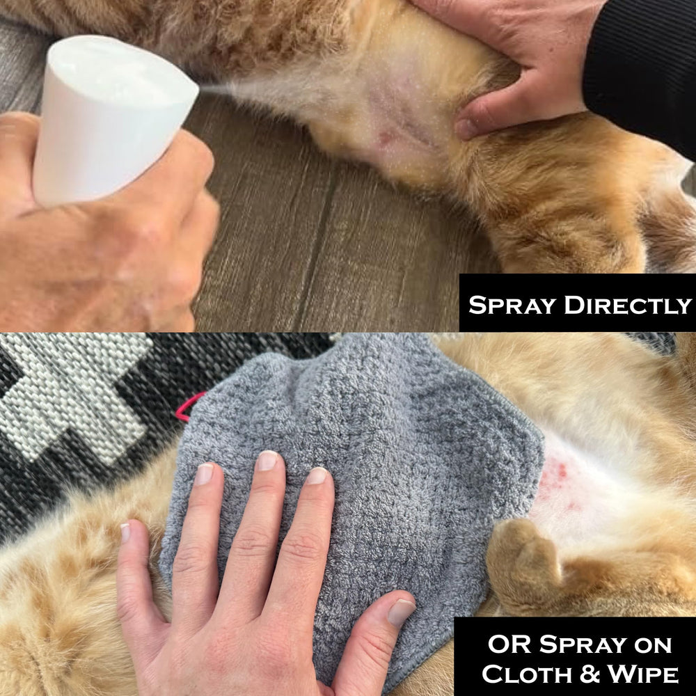 FlexTran Feline Ring Care: apto para perros, hámsters y conejos.