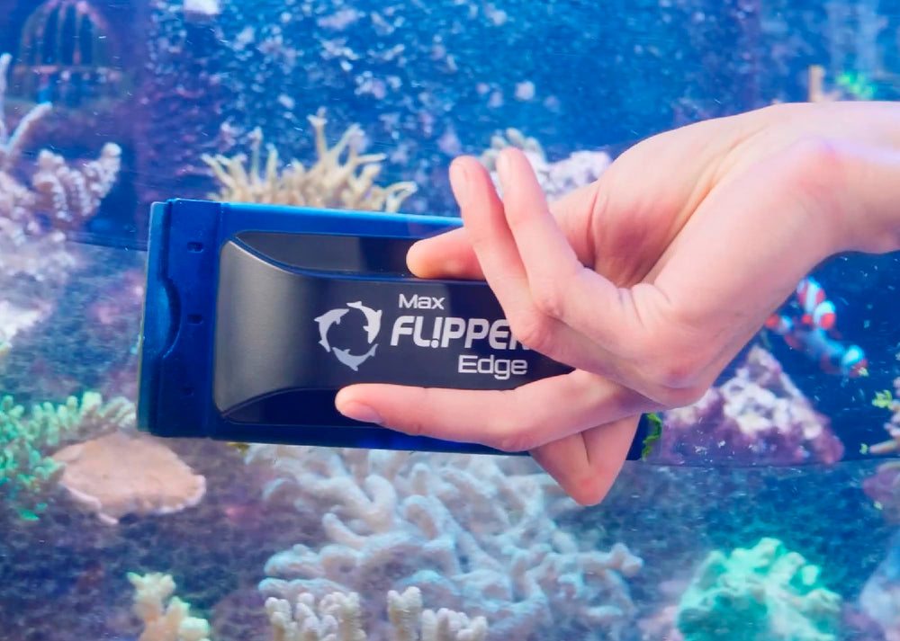 FL!PPER Flipper Edge: compatible con limpiador 2en1 de tamaño estándar