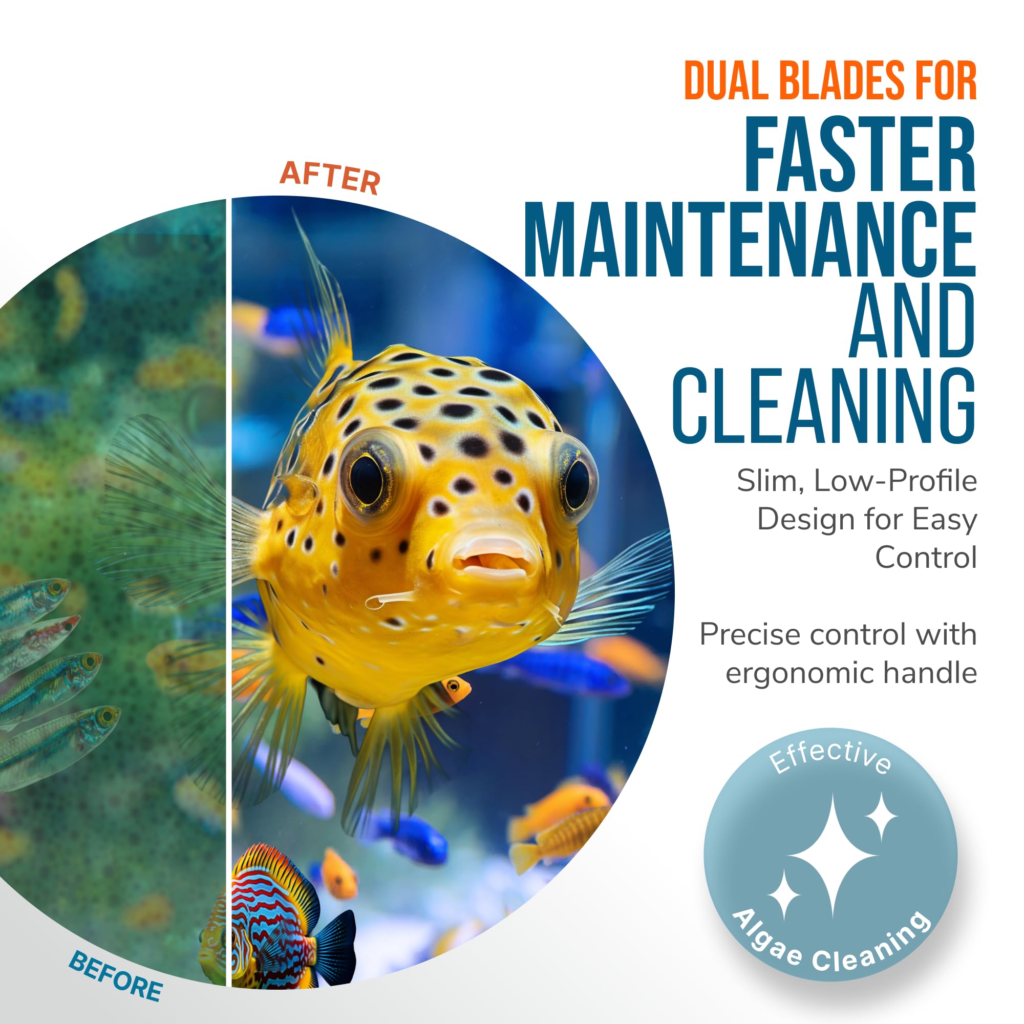 FLIPPER EDGE MAX facilita resultados consistentes en peceras decoradas.