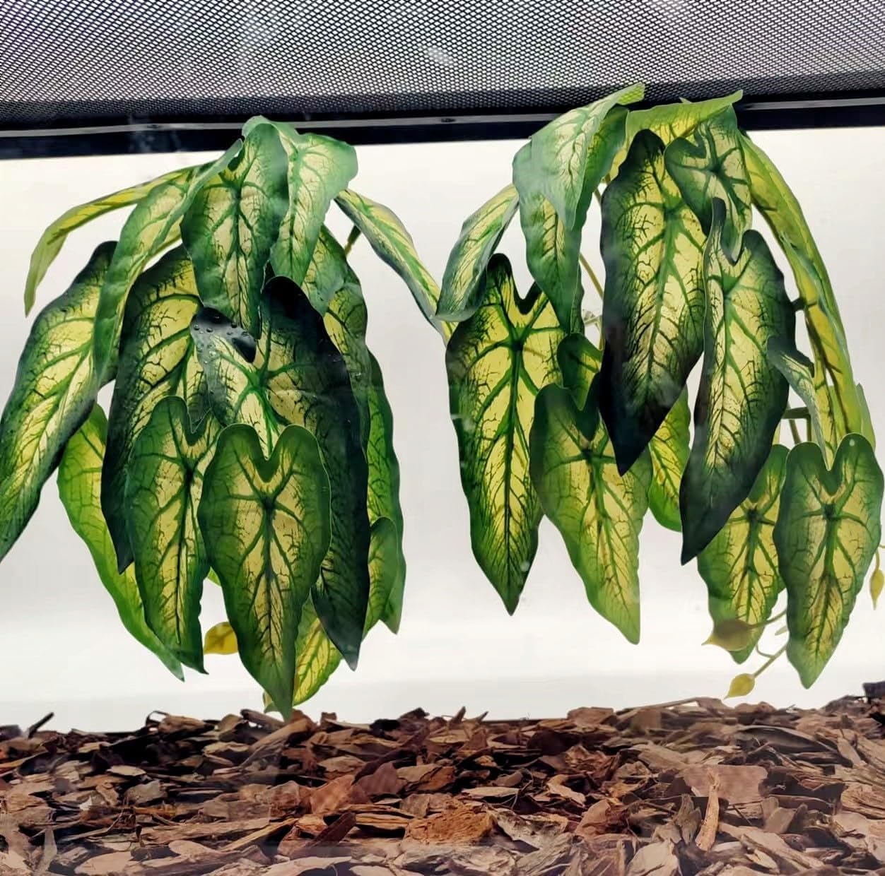 FLmoving planta artificial colgante Alocasia odora detalle realista para terrario