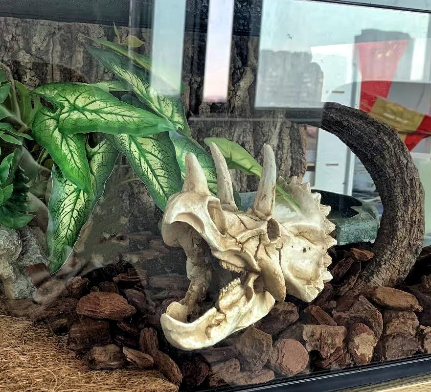 FLmoving conjunto de plantas colgantes, instalación rápida y segura