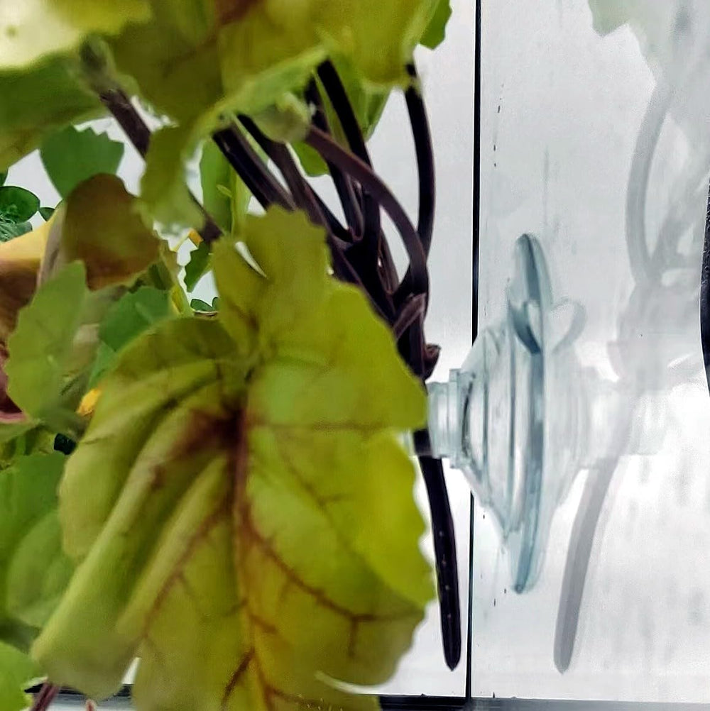 FLmoving detalle realista de planta reptil para crear refugio y zonas de trepa.