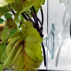 FLmoving detalle realista de planta reptil para crear refugio y zonas de trepa.
