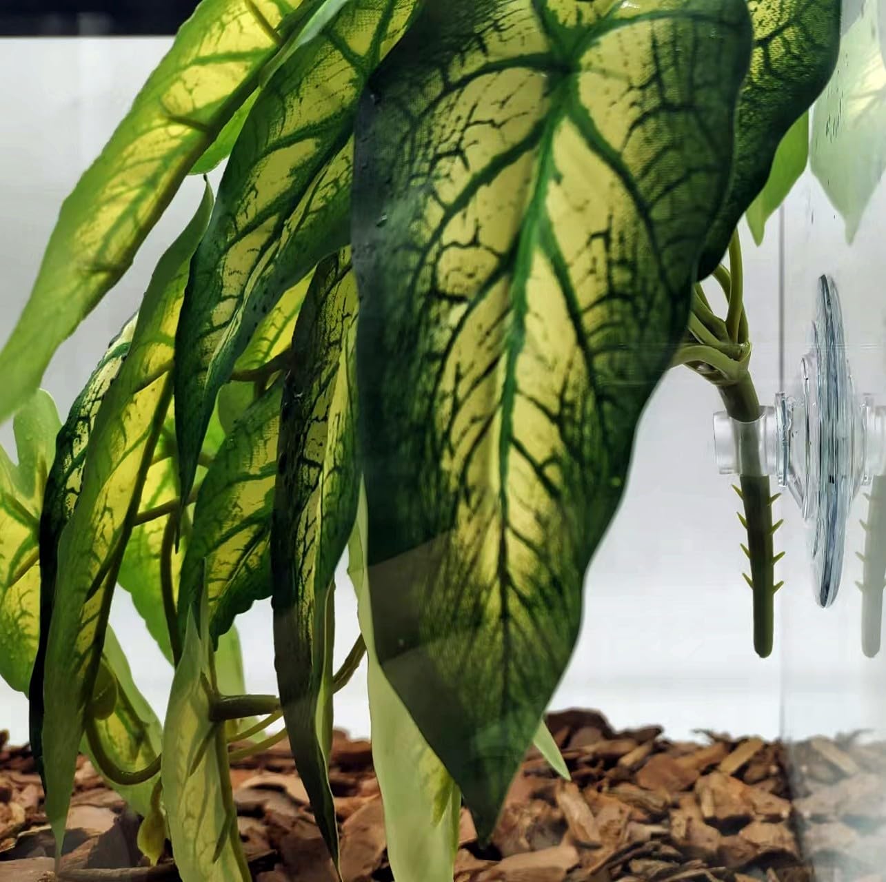 FLmoving planta reptil decorativa, refugio y rampa para reptiles