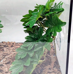 FLmoving hojas con gotas de agua para un efecto natural en terrario