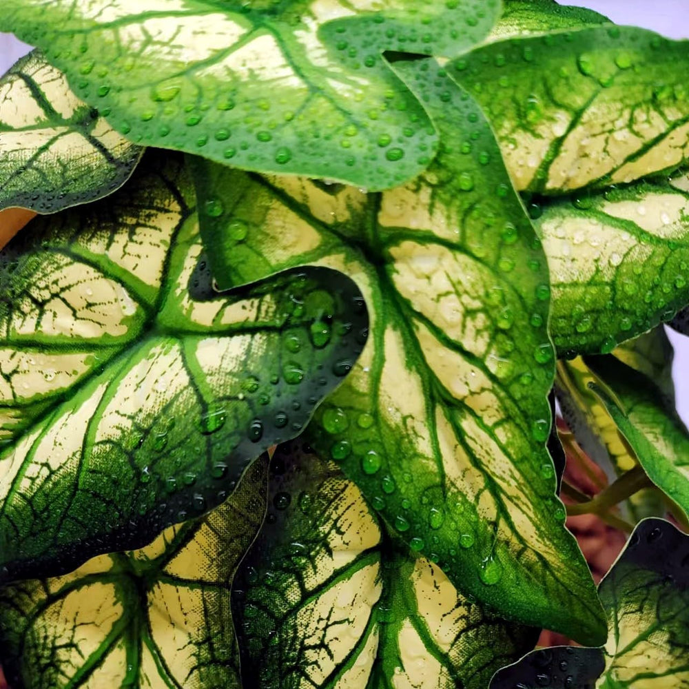 FLmoving planta artificial colgante Alocasia odora, resistente al agua, limpieza fácil