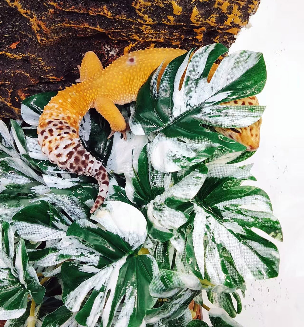 FLmoving plantas para reptil permiten esconderse y trepar en el terrario.