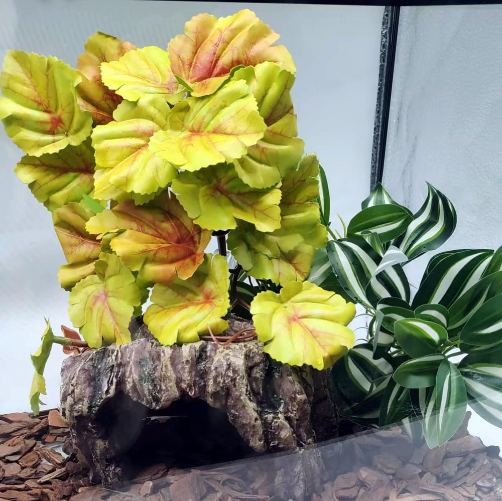 FLmoving plantas artificiales para terrario, mantenimiento sencillo y práctico.