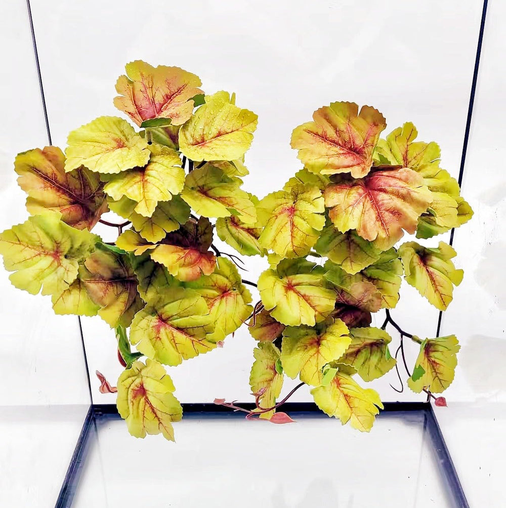 FLmoving plantas colgantes para terrario Heuchera Micrantha amarilla, hábitats realistas.