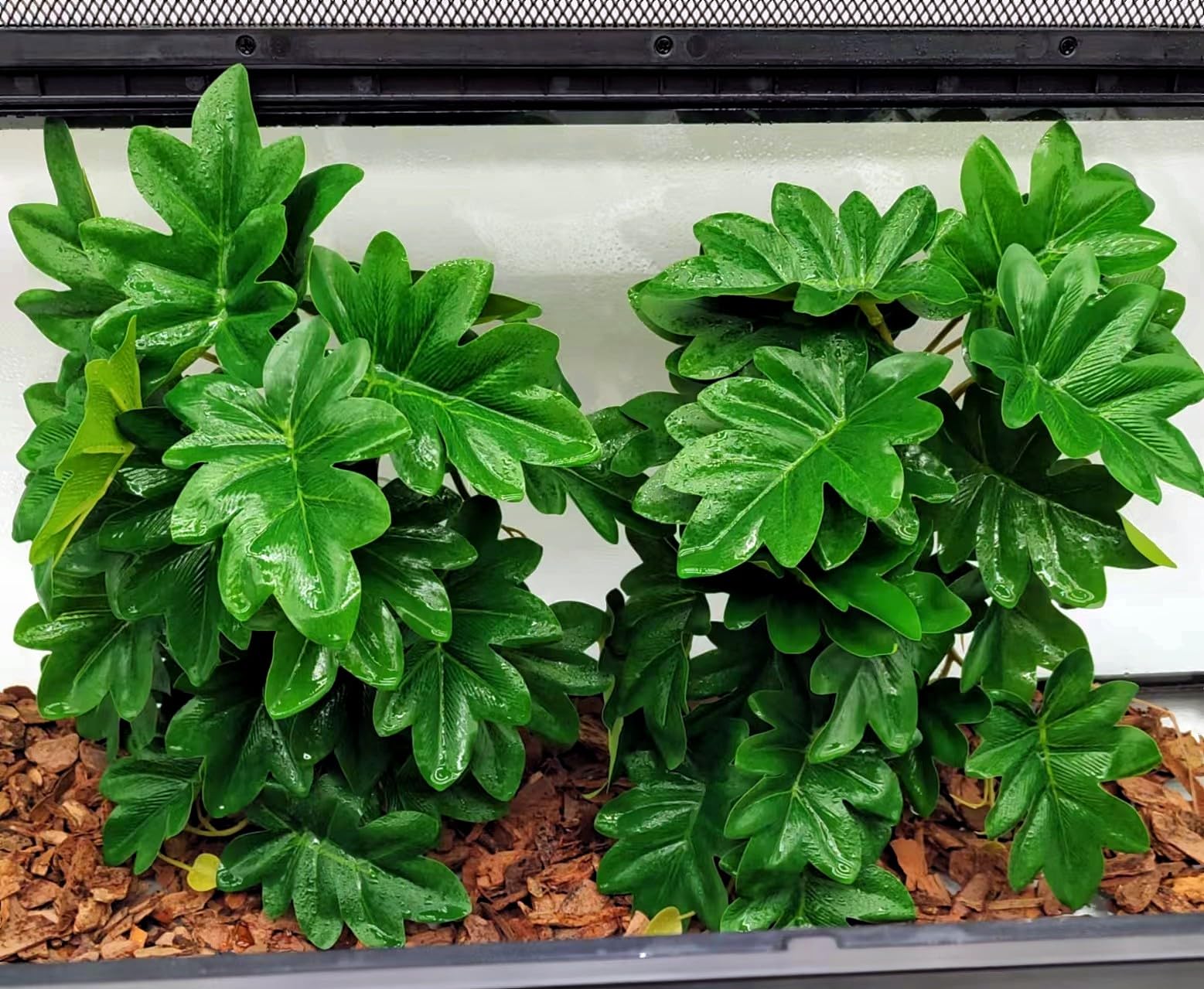 FLmoving plantas colgantes para reptiles Philodendron selloum con sujeción firme para escondites