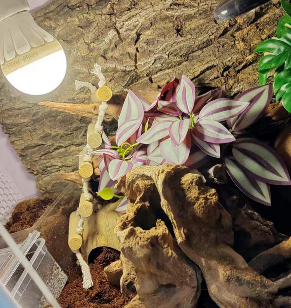 FLmoving uso versátil para reptiles y anfibios