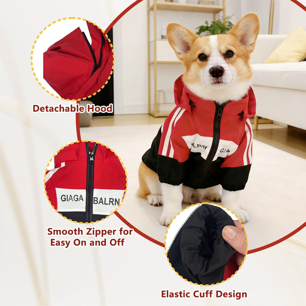 Floofelove ropa para perro pequeño protege del viento y la lluvia
