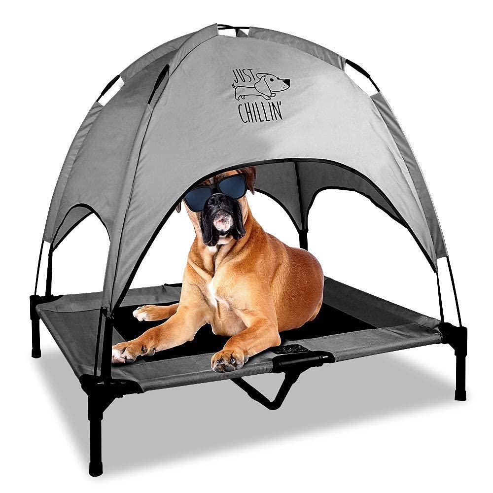 Floppy Dawg cama para perro elevada con malla fresca para exterior.