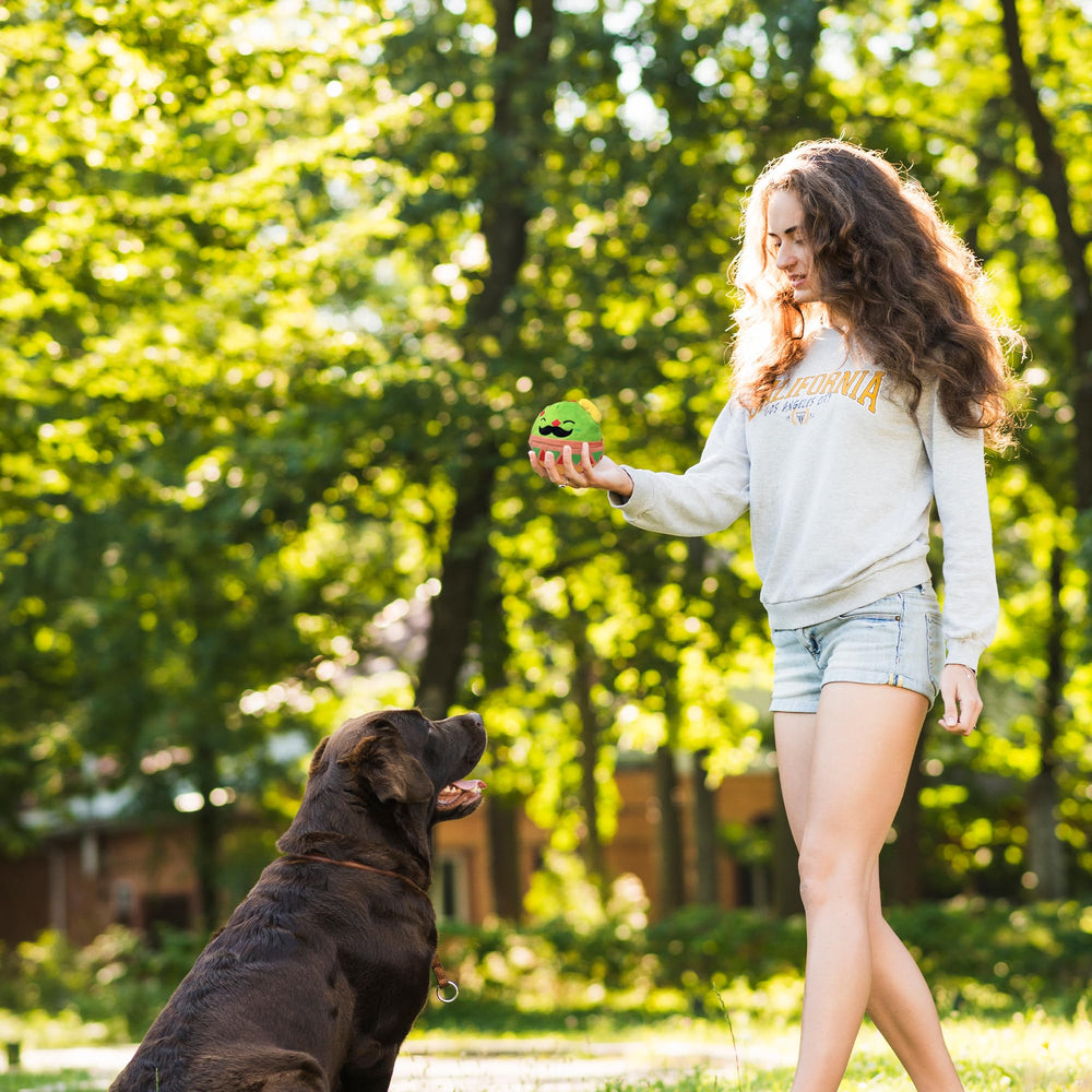 Flourish Pets Materiales seguros, libre de BPA, exterior suave y costuras reforzadas.