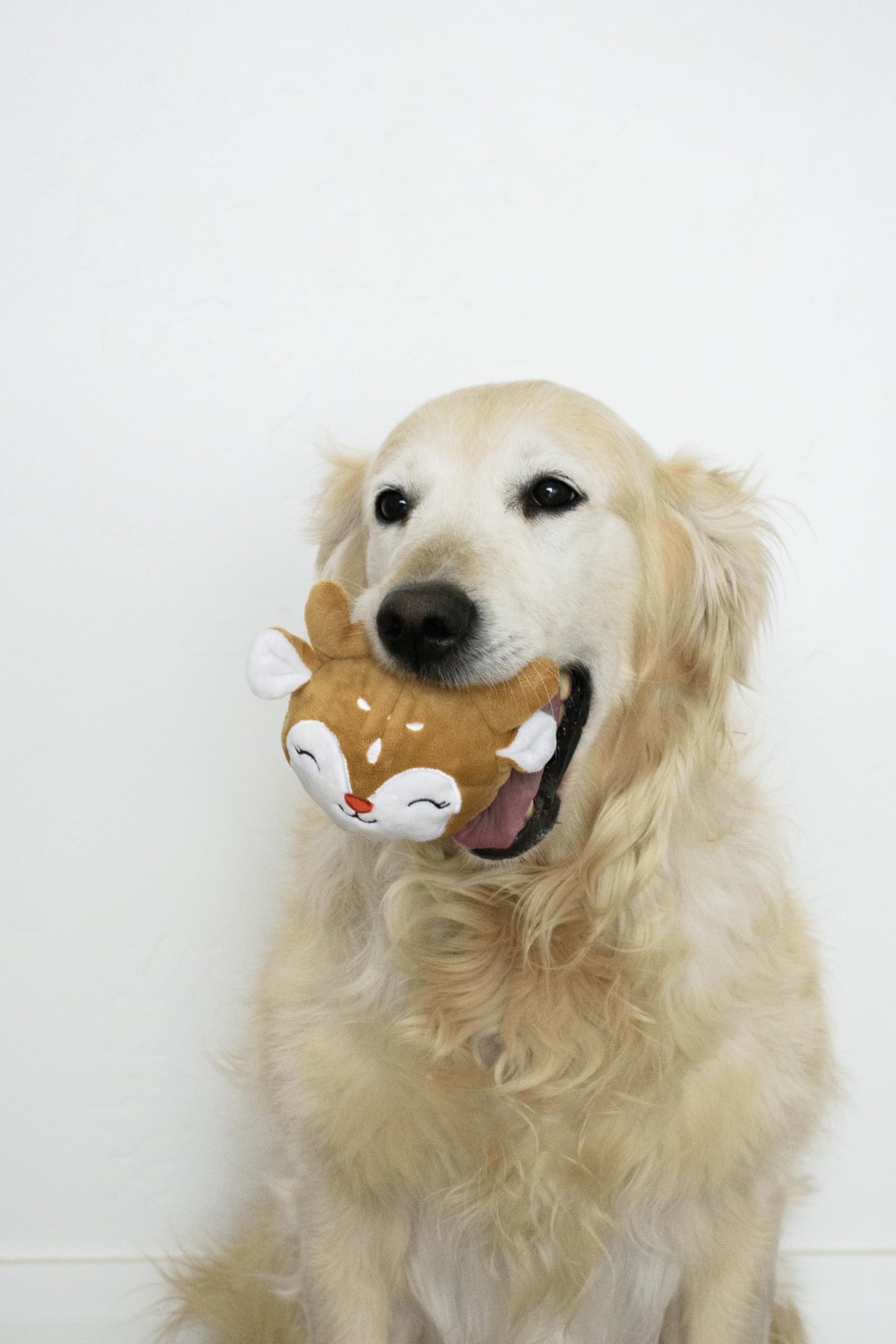 Flourish Pets Prancer ideal para actividades: anima juego dinámico.