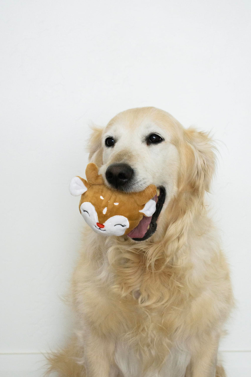 Flourish Pets Prancer ideal para actividades: anima juego dinámico.