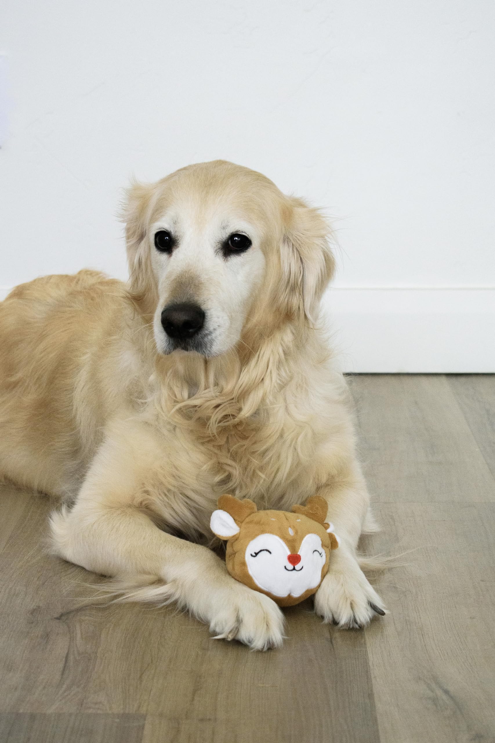 Flourish Pets Prancer libre de BPA: juguete seguro para mascotas.