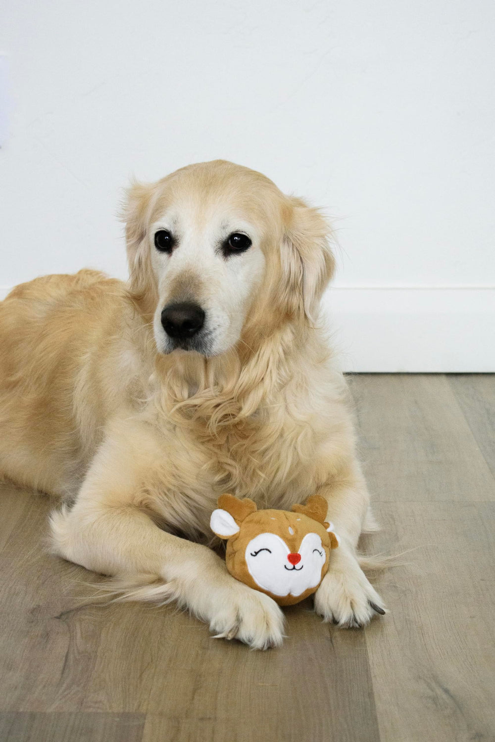 Flourish Pets Prancer libre de BPA: juguete seguro para mascotas.
