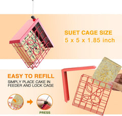 FlowaFoli: opciones de alimentación con suet y frutas para aves diversas