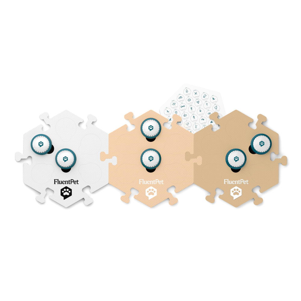 FluentPet: educación-pasos con recursos y consejos de entrenamiento