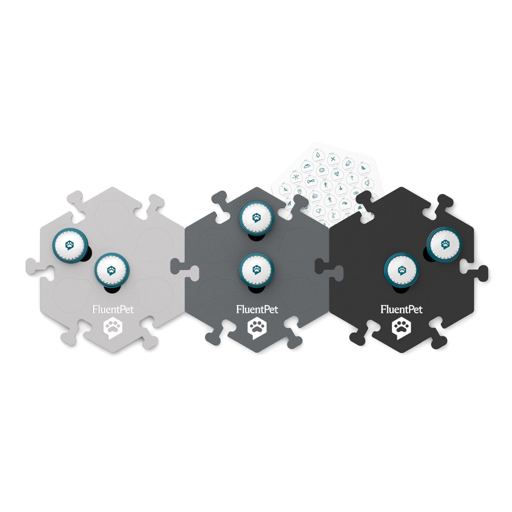 FluentPet: entrenamiento diario que fomenta interacción y mente activa.