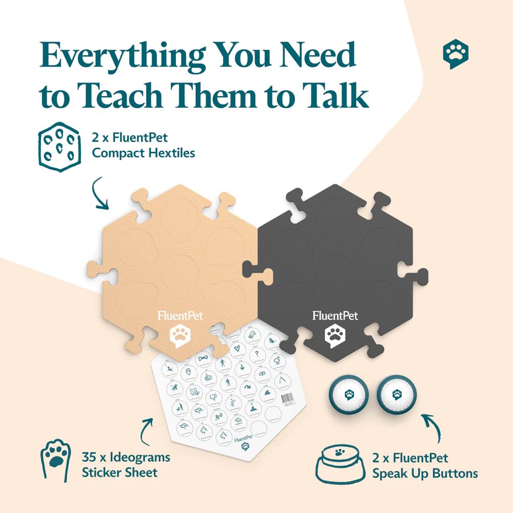 FluentPet HexTiles organizados por categorías para aprendizaje de vocabulario rápido