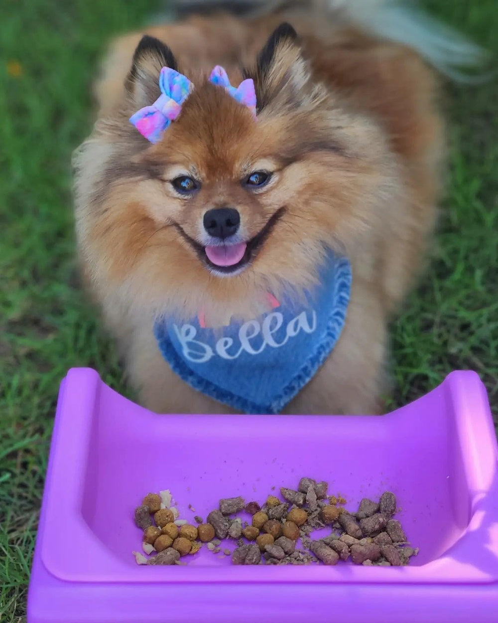 Fluff Trough estación de alimentación elevada para mascotas en casa