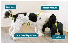 Fluff Trough libre de BPA garantiza materiales seguros para mascotas.