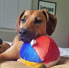 Pelota Fluff & Tuff Beach Ball de 7 pulgadas para mordisqueo suave y juego interactivo.