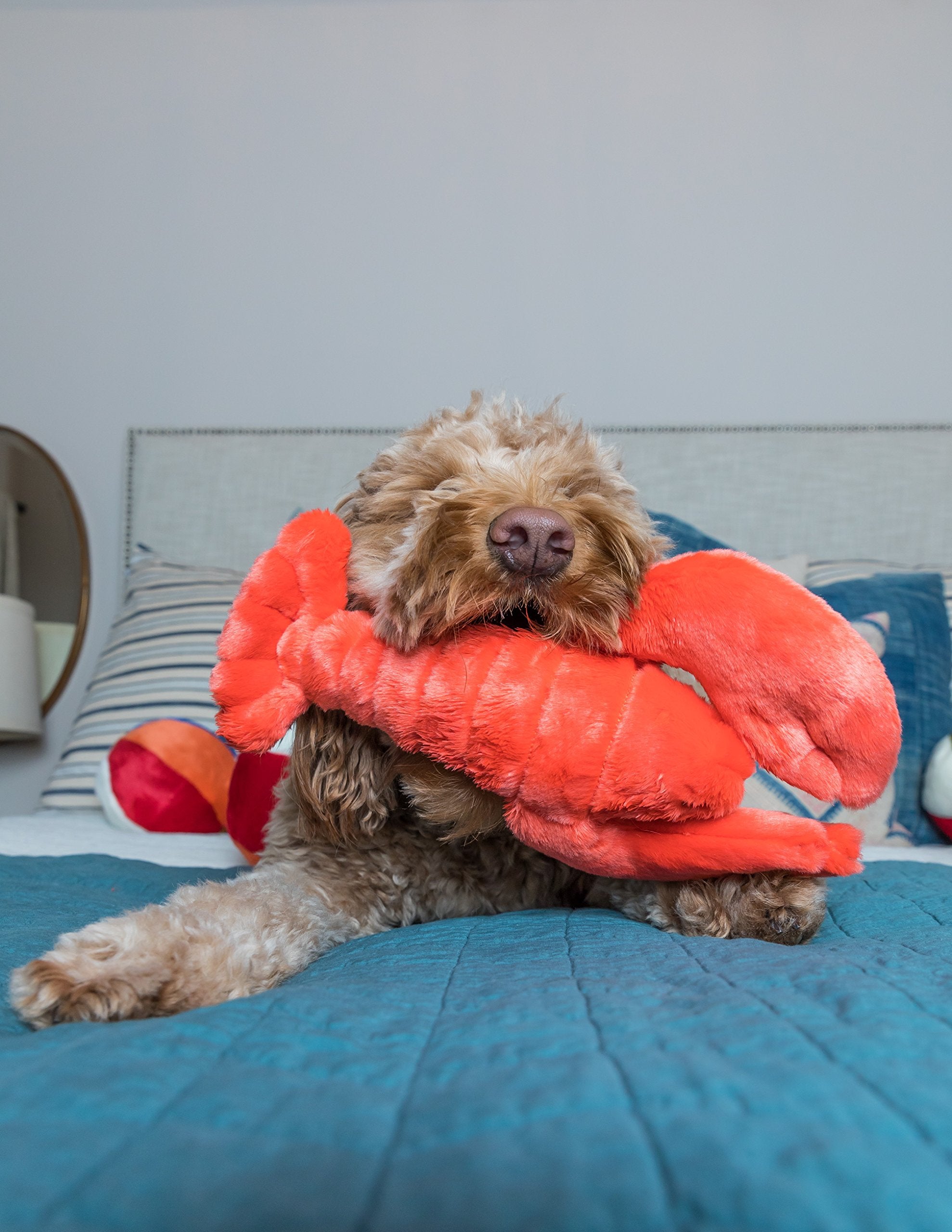 Fluff & Tuff Manny Lobster con relleno no tóxico y ojos bordados para seguridad.