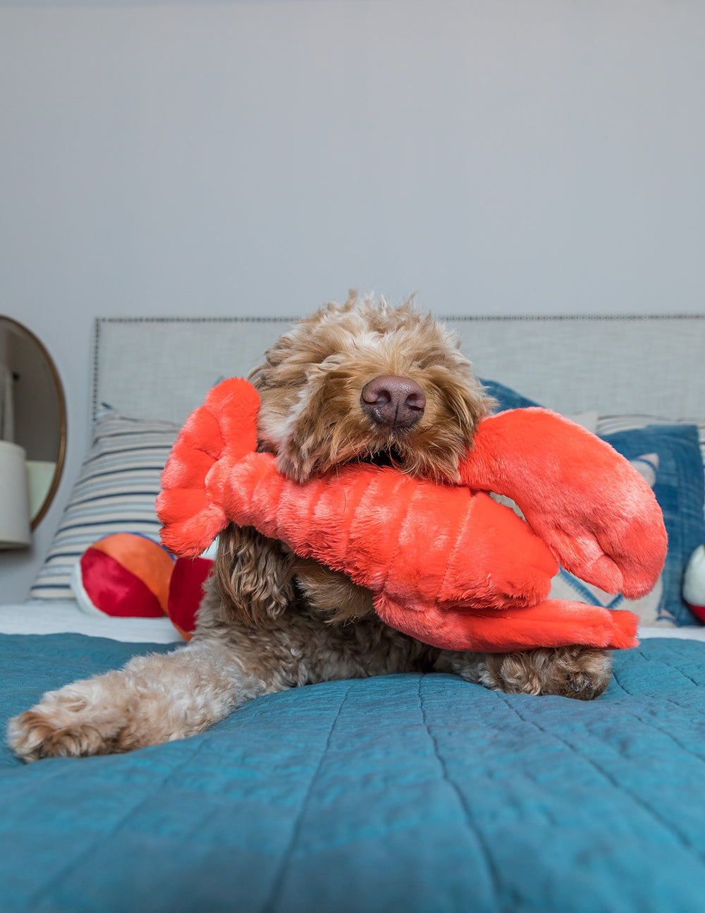 Fluff & Tuff Manny Lobster con relleno no tóxico y ojos bordados para seguridad.