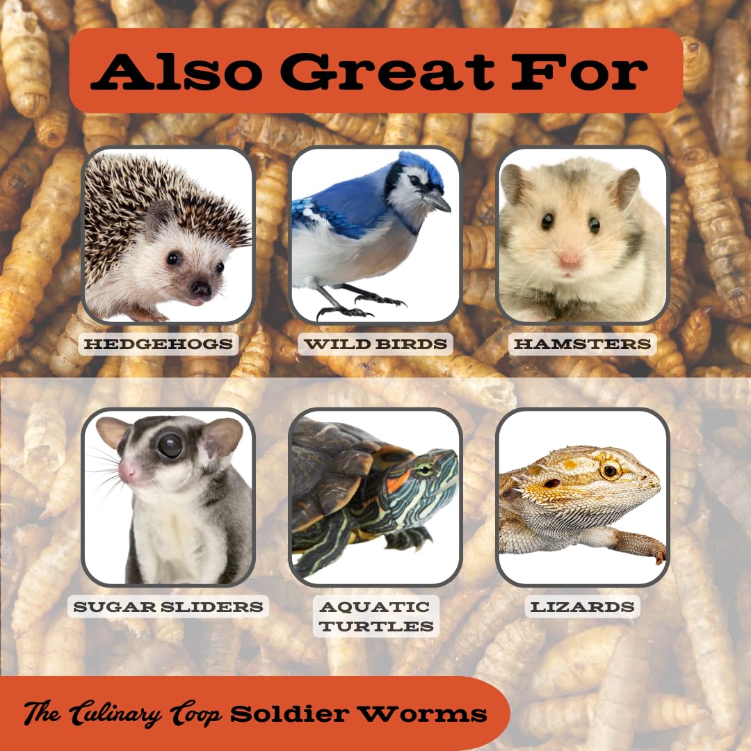 Para animales insectívoros, gusanos Fluker's como colación versátil
