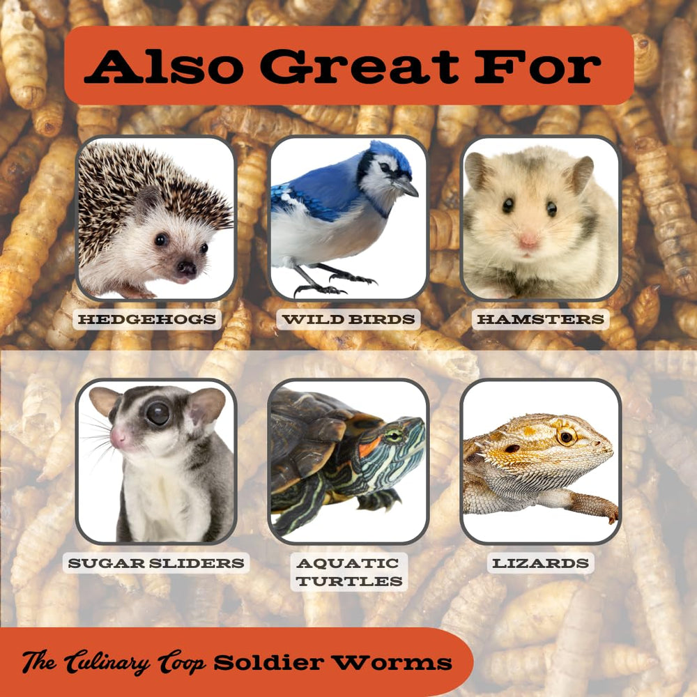 Para animales insectívoros, gusanos Fluker's como colación versátil