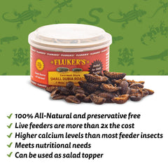 Fluker's lata gourmet para aves, ideal para meriendas diarias.