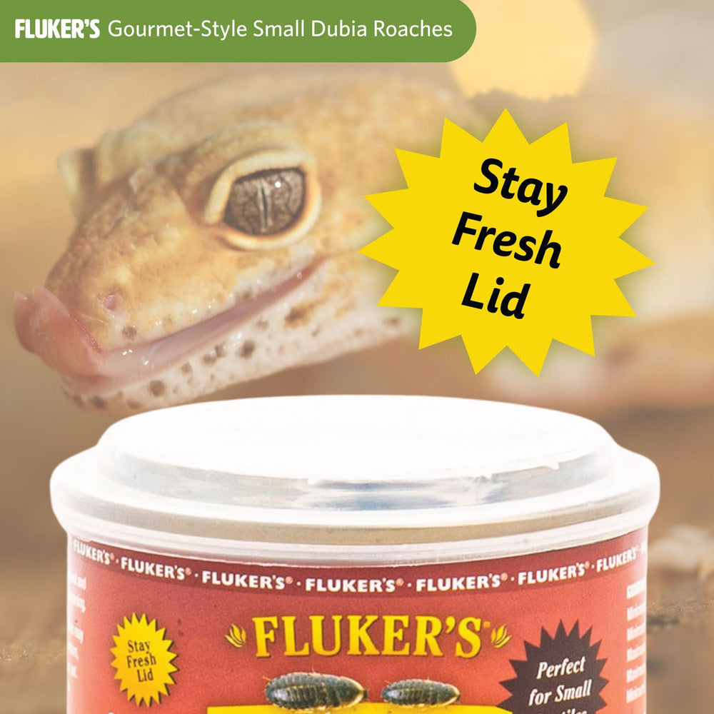 Fluker's lata gourmet para dubia, snack proteico para insectívoros.
