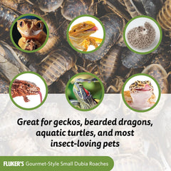 Fluker's lata gourmet para peces, práctica en acuarios.