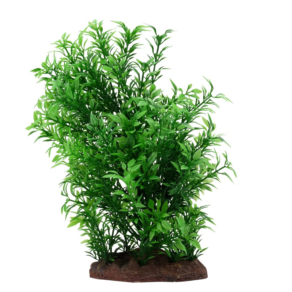 Fluval Aqualife Helzine, planta frontal: color natural duradero sin mantenimiento.