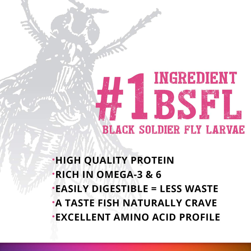 Proteínas de arenque y camarón en Fluval Bug Bites para una dieta equilibrada
