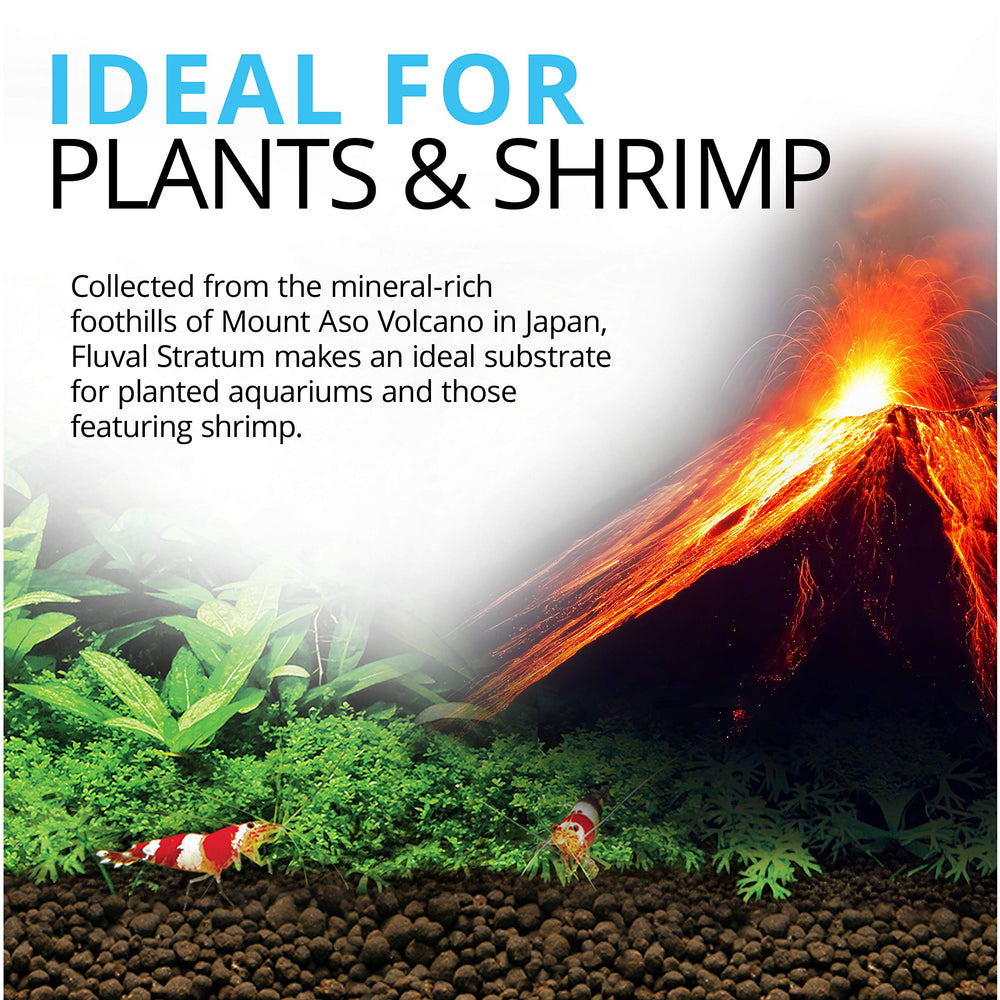 Fluval Estrato, penetración de raíces para plantas vigorosas.