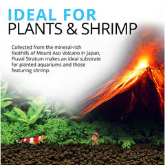 Fluval Estrato, penetración de raíces para plantas vigorosas.